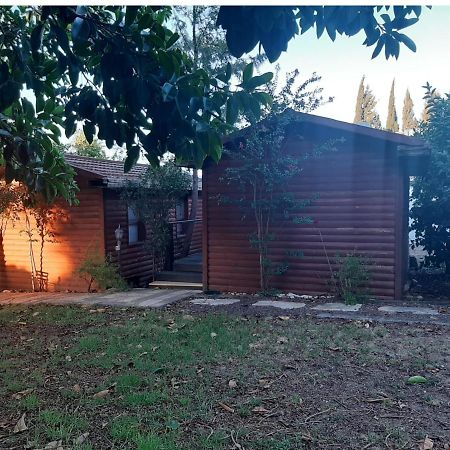 A Fun Holiday In The Galilee Sede Eli'ezer Exterior photo