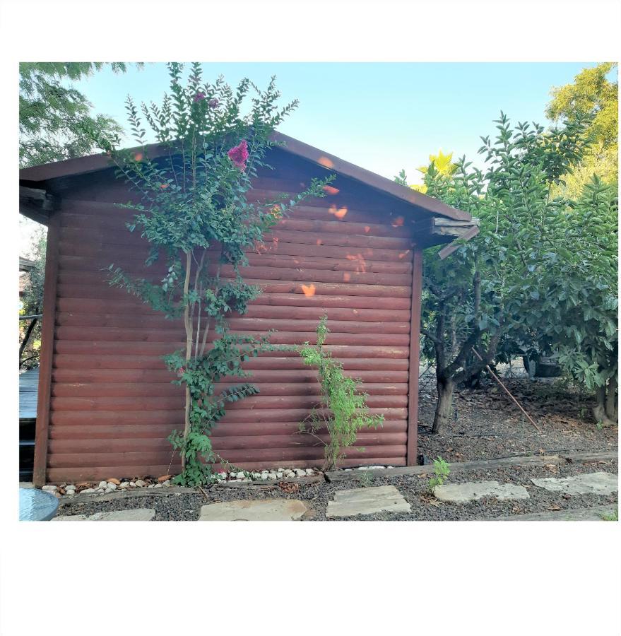 A Fun Holiday In The Galilee Sede Eli'ezer Exterior photo